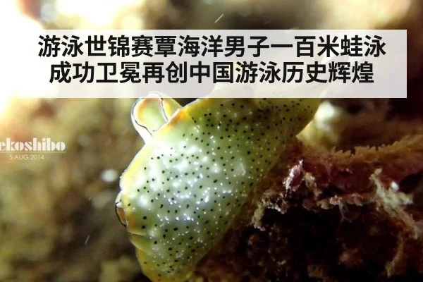 游泳世锦赛覃海洋男子一百米蛙泳成功卫冕再创中国游泳历史辉煌