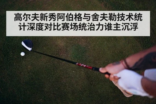 高尔夫新秀阿伯格与舍夫勒技术统计深度对比赛场统治力谁主沉浮