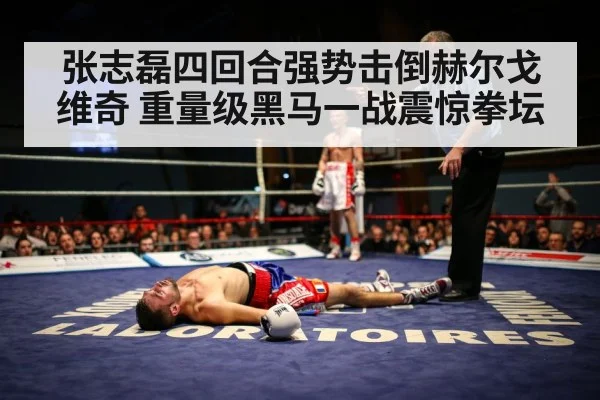 张志磊四回合强势击倒赫尔戈维奇 重量级黑马一战震惊拳坛