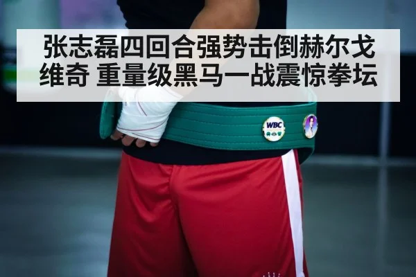boxing champion belt
