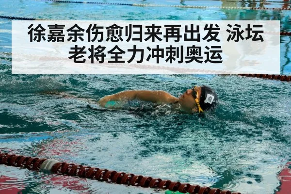 徐嘉余伤愈归来再出发 泳坛老将全力冲刺奥运