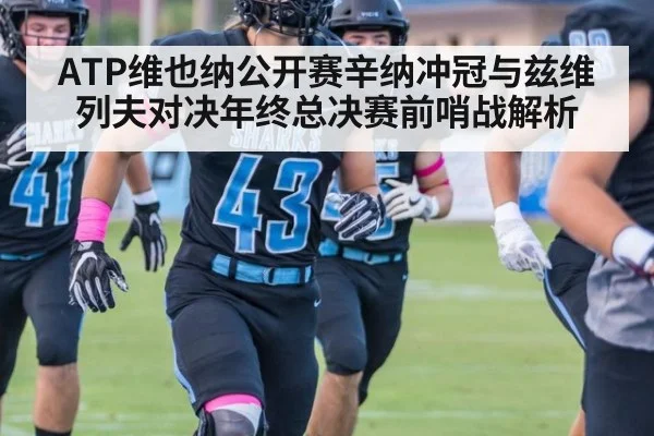 ATP维也纳公开赛辛纳冲冠与兹维列夫对决年终总决赛前哨战解析